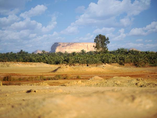 Gabal-Dakrour-Oasi-di-Siwa-egitto